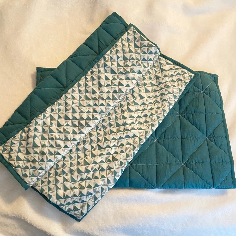 West Elm Organic Cotton Pillow Shams